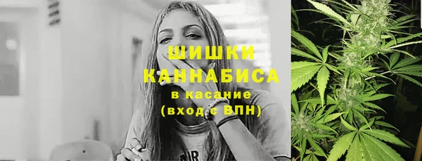 шишки Абинск