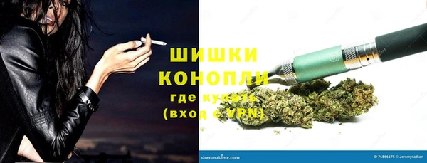 стаф Абаза