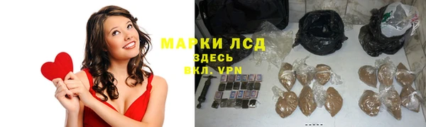 стаф Абаза