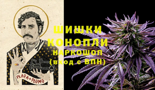 стаф Абаза