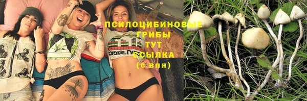 стаф Абаза