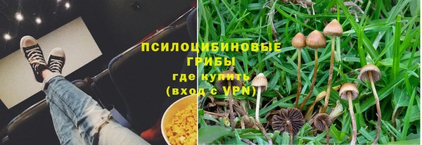 СК Абдулино