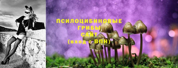 шишки Абинск