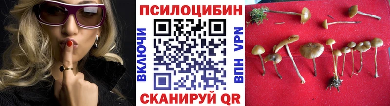 Псилоцибиновые грибы Psilocybe  Инта 